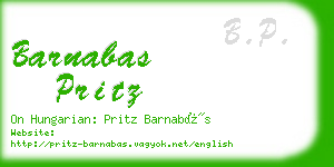 barnabas pritz business card